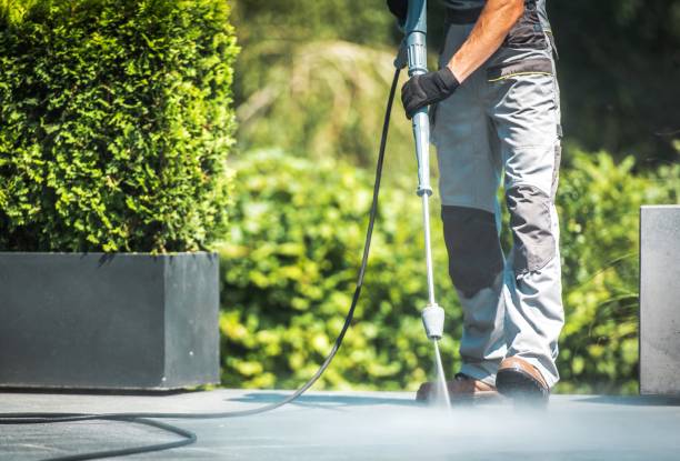 Best Graffiti Removal  in Mount Carmel, IL